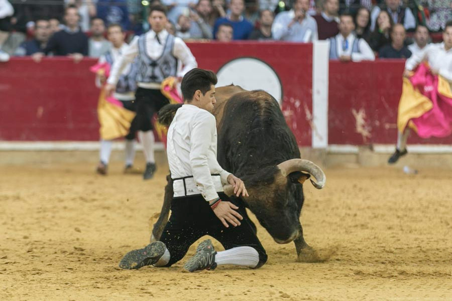 Recortadores Valencia