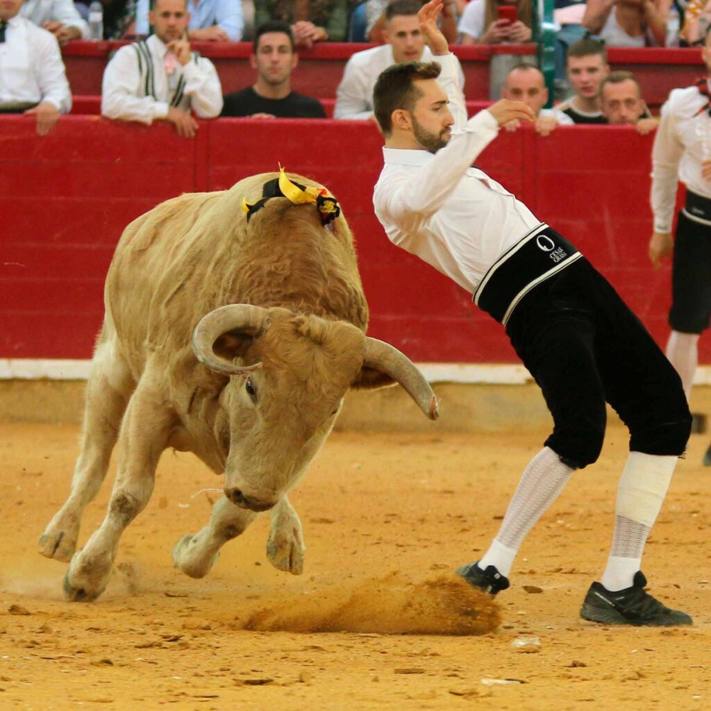 Festejos Populares y recortes