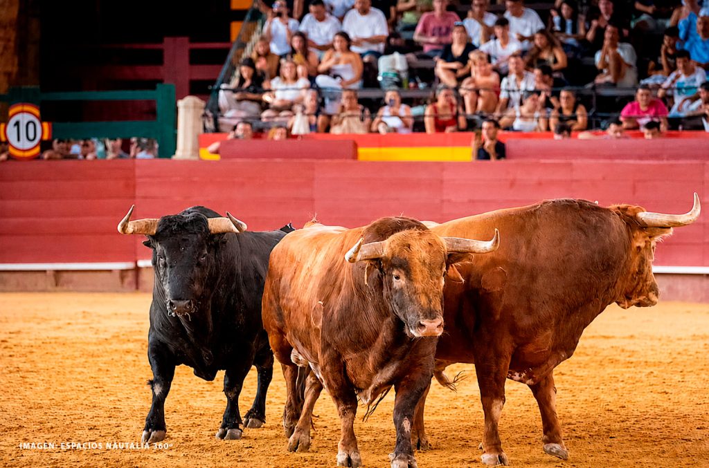 La desencajonada de Valencia