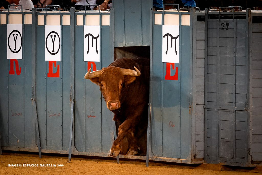 La desencajonada: el prólogo sagrado de la feria de Julio de Valencia